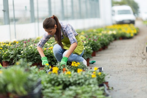 Gardeners Morden Park improving a healthy front garden