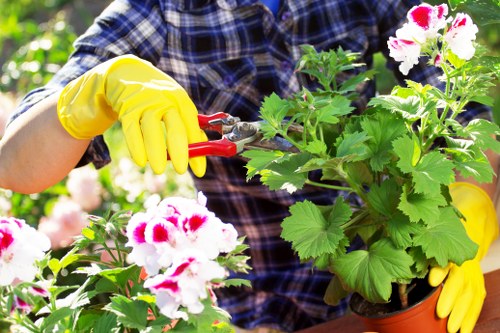 Gardeners Morden Park maintaining a neat local garden