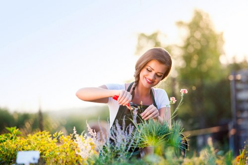 Seasonal gardening work by Gardeners Morden Park