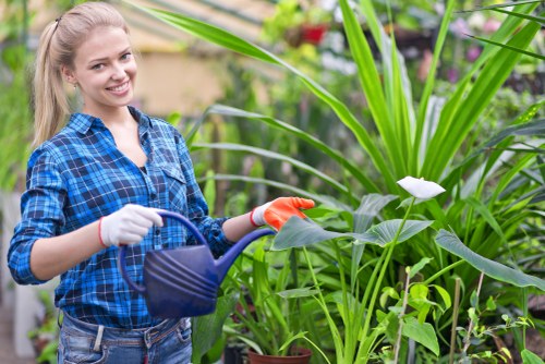 Gardening tools and lawn care service agreement