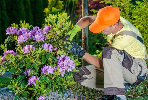 Waste removal and environmental compliance for gardeners