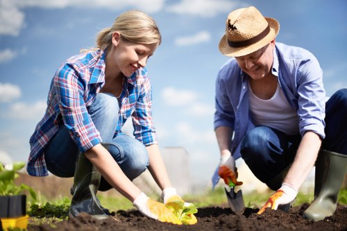 Pruning and crown maintenance on a residential tree in Morden Park