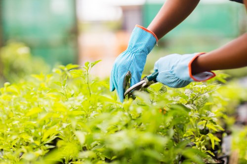 Supplier audit and compliance process for Gardeners Morden Park