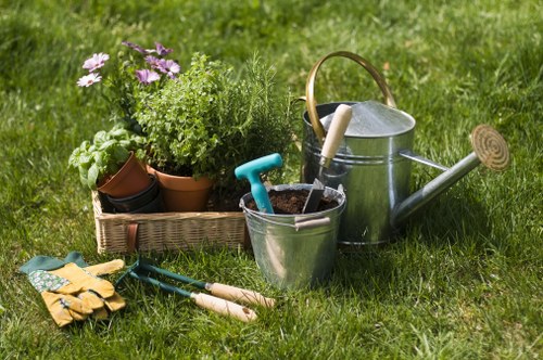 Professional garden design and planting in Morden Park