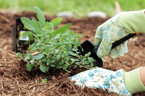 Seasonal lawn maintenance in Morden Park