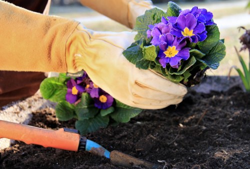 Garden hedge maintenance with precision cutting tools