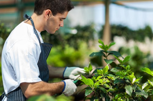 Booking and quotation process for garden maintenance