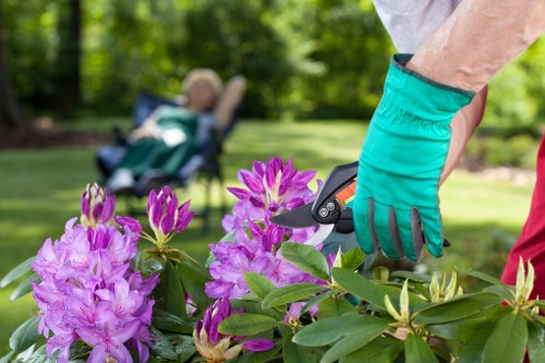 Well-maintained residential lawn after mowing in Morden Park