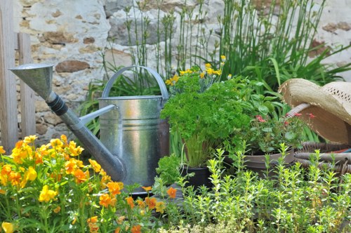 Professional garden upkeep in Morden Park including trimming and weeding
