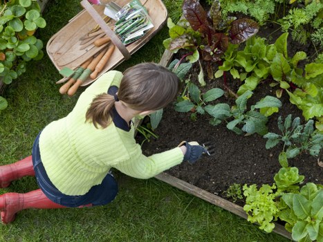 Seasonal planting borders in a landscaped Morden Park garden