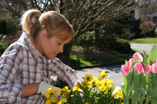 Weather-aware gardening team working safely outdoors