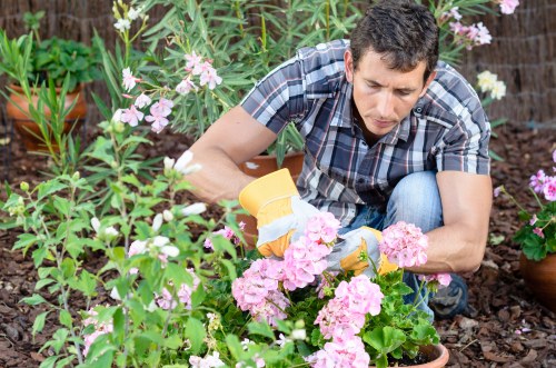 Garden clearance and restoration work in Morden Park