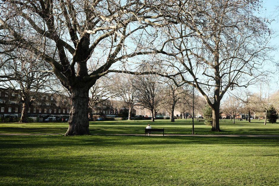 A spacious park scene during daytime featuring a well-maintained grassy lawn with neatly trimmed, lush green grass. Several large deciduous trees with bare branches indicating early spring or late aut