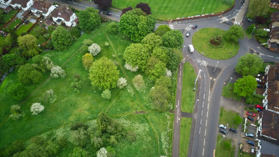 An aerial view of a green, landscaped area featuring a mix of mature trees with lush foliage, some with white blossoms, and open grassy spaces. A narrow, winding dirt path weaves through the trees, pr
